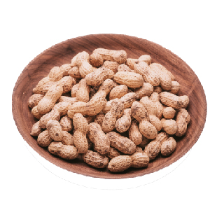 Peanut