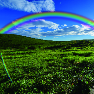Rainbow